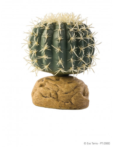 Cactus Oursin Barrel Exo Terra