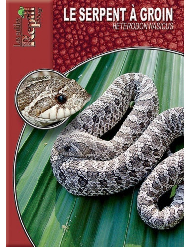 Le serpent à groin (Heterodon nasicus)