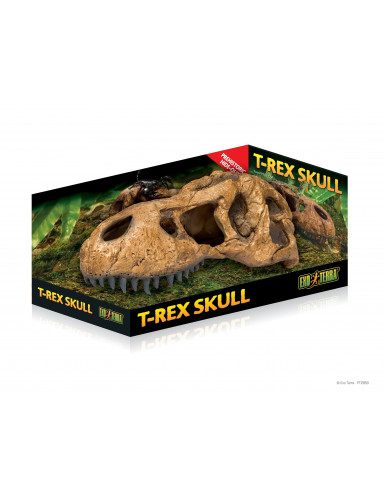 T-Rex Skull Exo Terra