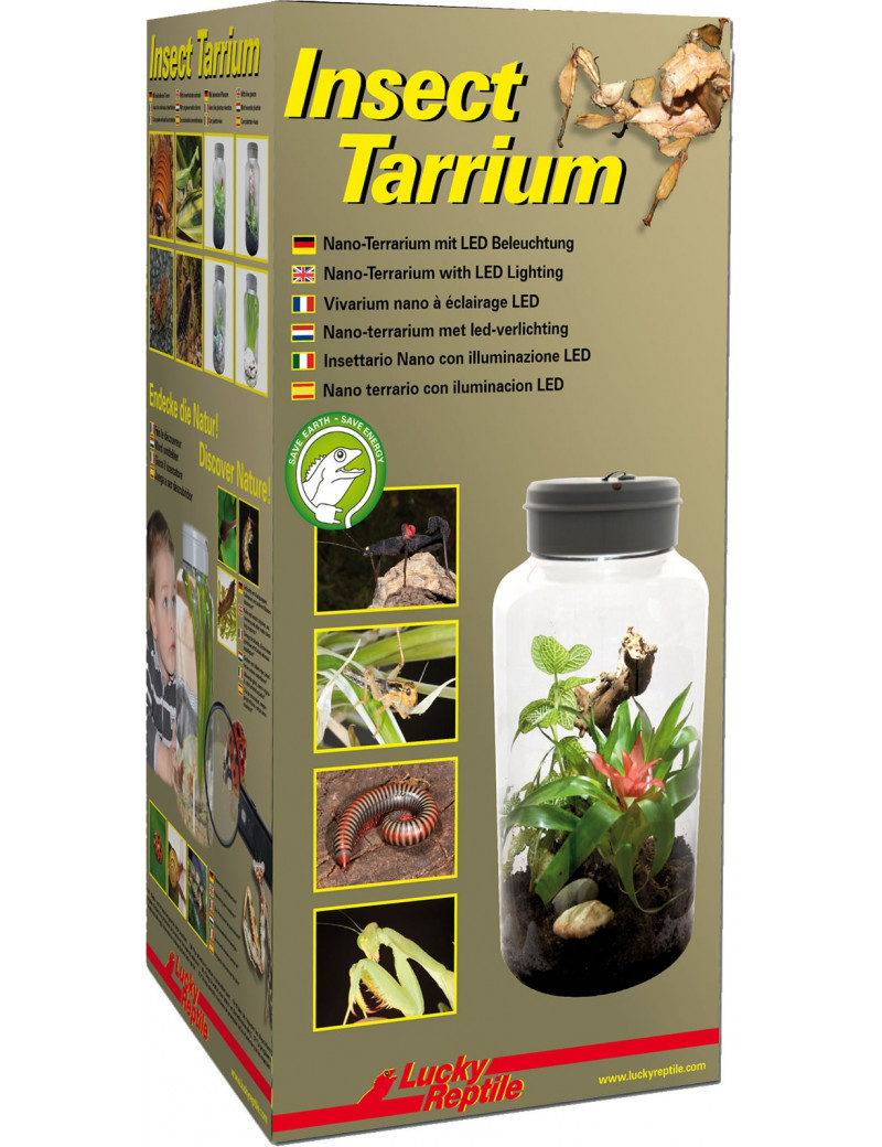 Insect tarrium Lucky Reptile