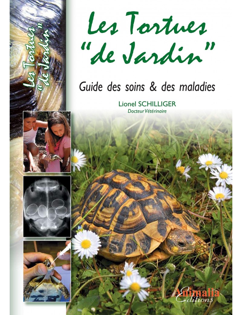 Les tortues "de jardin"