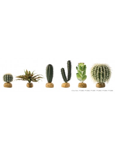Cactus Jade Exo Terra