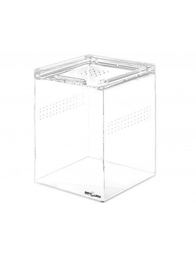 Terrarium acrylique transparent Reptizoo