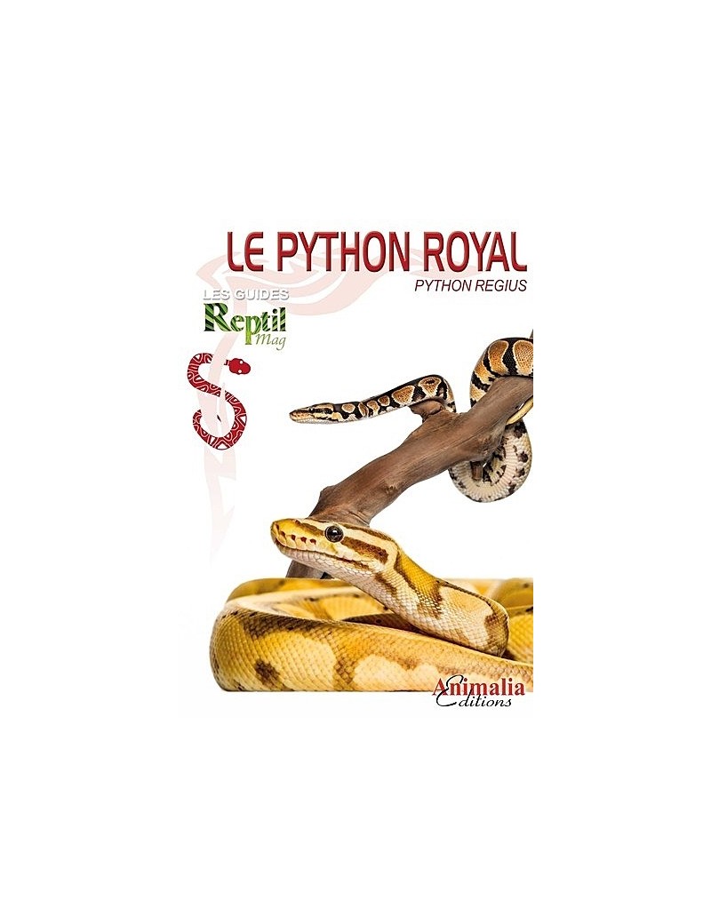 Le Python Royal (Python regius)