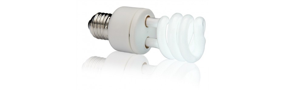 Fluo Compact UVB bulbs