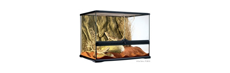 Terrarium en verre