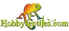 Hobbyreptiles.com